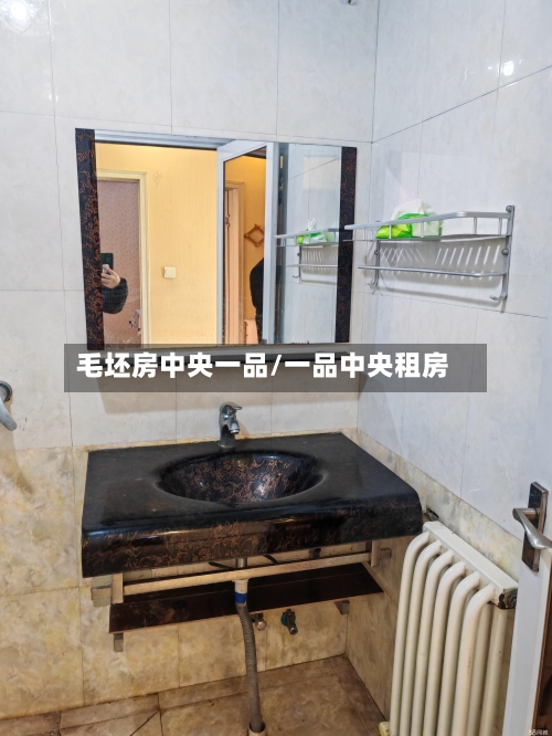 毛坯房中央一品/一品中央租房