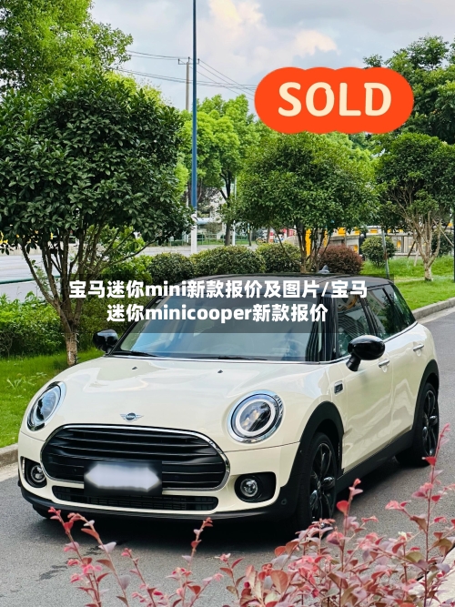 宝马迷你mini新款报价及图片/宝马迷你minicooper新款报价-第2张图片