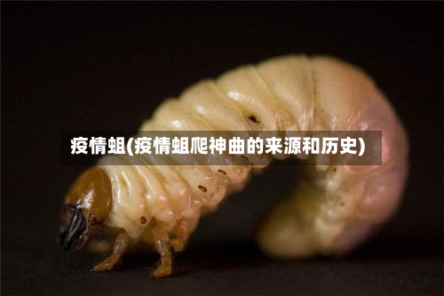 疫情蛆(疫情蛆爬神曲的来源和历史)-第3张图片