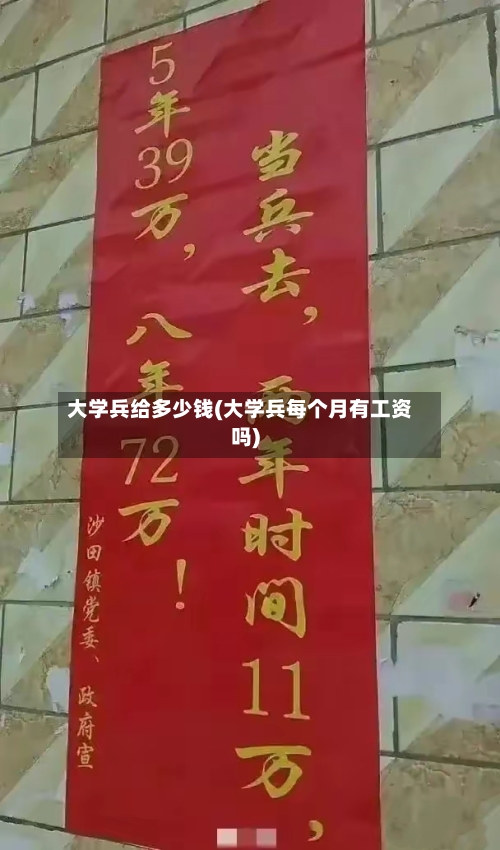 大学兵给多少钱(大学兵每个月有工资吗)-第2张图片