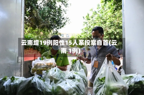 云南增19例阳性15人系投案自首(云南 1例)