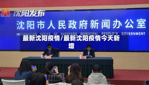 最新沈阳疫情/最新沈阳疫情今天新增-第2张图片