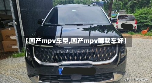 【国产mpv车型,国产mpv哪款车好】