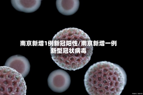 南京新增1例新冠阳性/南京新增一例新型冠状病毒
