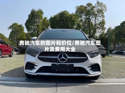 奔驰汽车的图片和价位/奔驰汽车图片及费用大全-第3张图片