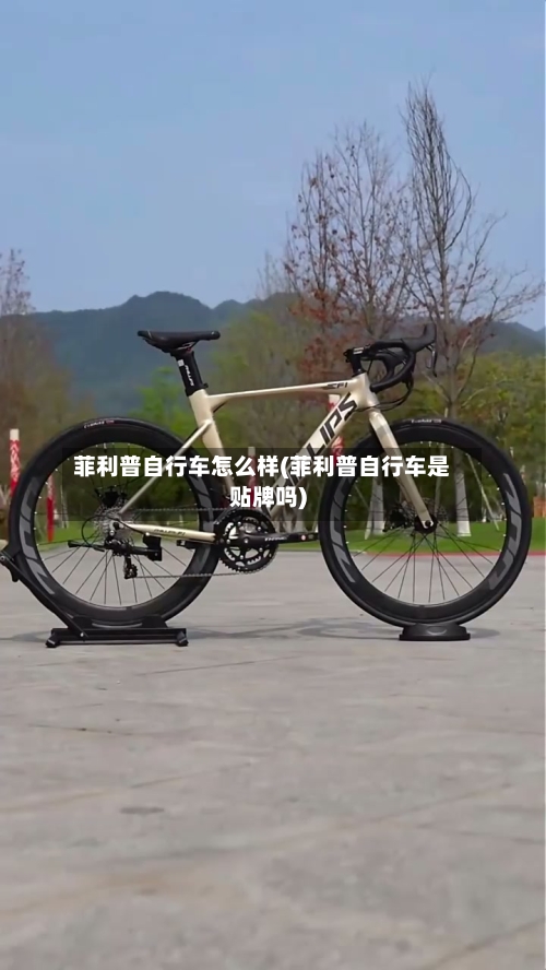 菲利普自行车怎么样(菲利普自行车是贴牌吗)-第3张图片