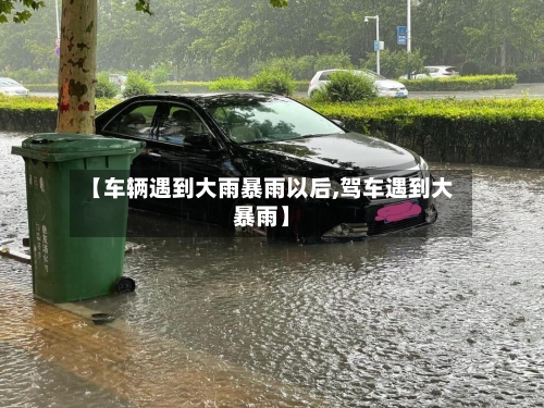 【车辆遇到大雨暴雨以后,驾车遇到大暴雨】-第3张图片