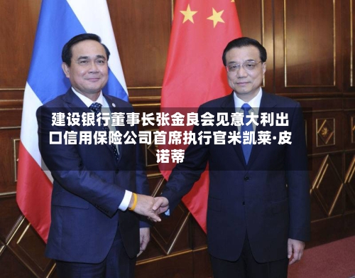 建设银行董事长张金良会见意大利出口信用保险公司首席执行官米凯莱·皮诺蒂