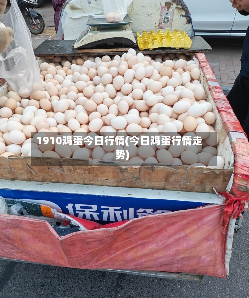 1910鸡蛋今日行情(今日鸡蛋行情走势)