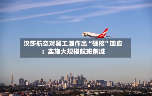 汉莎航空对罢工潮作出“硬核	”回应：实施大规模航班削减-第3张图片