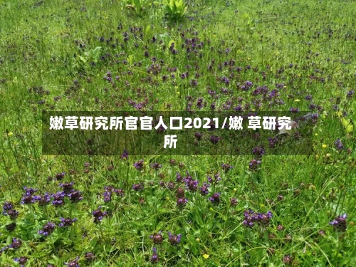 嫩草研究所官官人口2021/嫩 草研究所