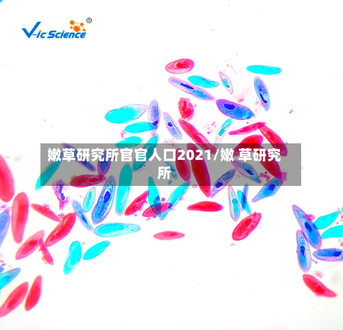 嫩草研究所官官人口2021/嫩 草研究所-第2张图片