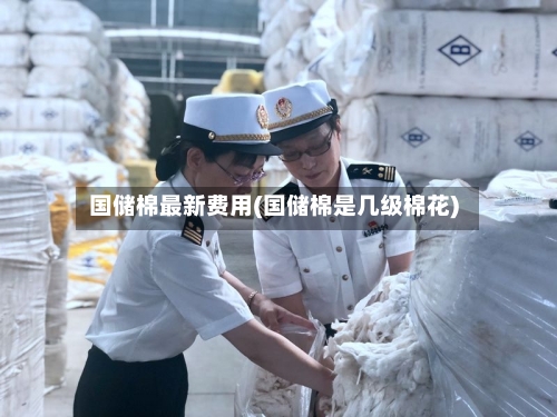 国储棉最新费用(国储棉是几级棉花)