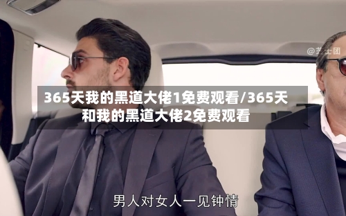365天我的黑道大佬1免费观看/365天和我的黑道大佬2免费观看