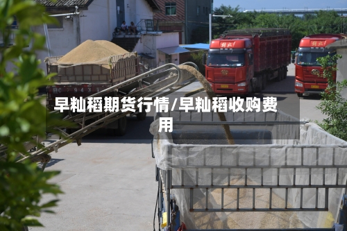 早籼稻期货行情/早籼稻收购费用-第2张图片