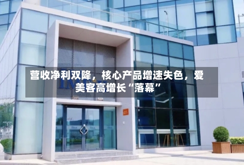 营收净利双降，核心产品增速失色	，爱美客高增长“落幕	”-第2张图片