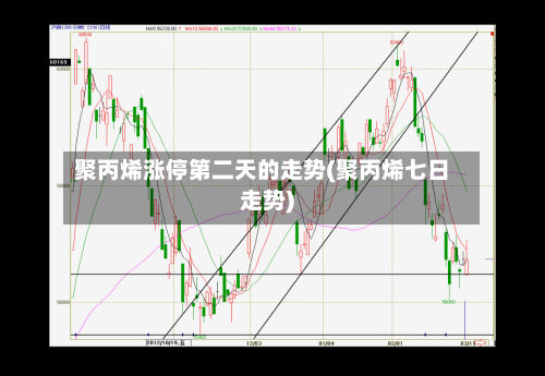 聚丙烯涨停第二天的走势(聚丙烯七日走势)-第2张图片