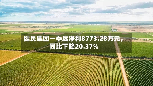 健民集团一季度净利8773.28万元，同比下降20.37%-第3张图片