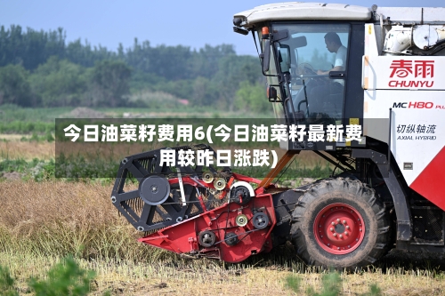 今日油菜籽费用6(今日油菜籽最新费用较昨日涨跌)-第2张图片