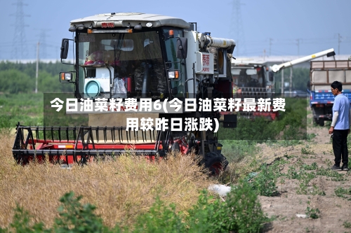 今日油菜籽费用6(今日油菜籽最新费用较昨日涨跌)-第3张图片