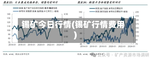 锡矿今日行情(锡矿行情费用)-第2张图片