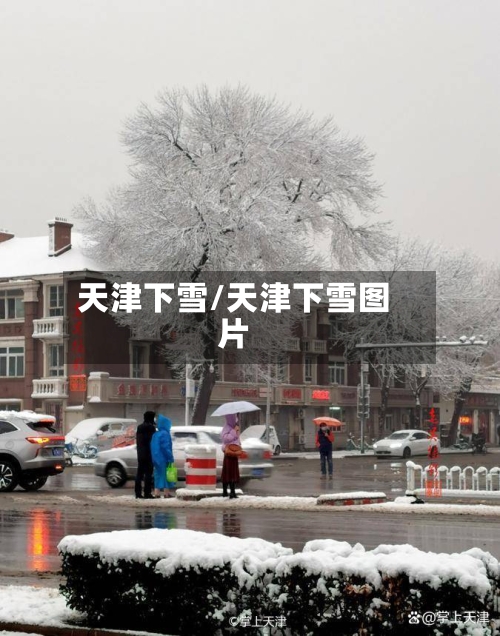 天津下雪/天津下雪图片