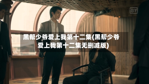 黑帮少爷爱上我第十二集(黑帮少爷爱上我第十二集无删减版)