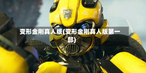 变形金刚真人版(变形金刚真人版第一部)-第3张图片