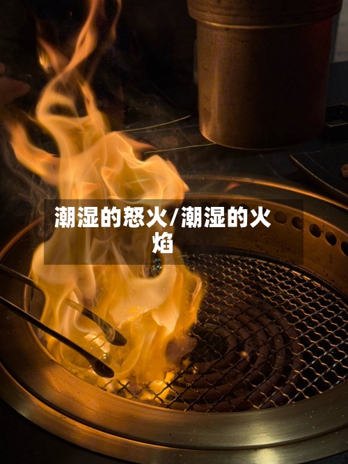 潮湿的怒火/潮湿的火焰-第1张图片