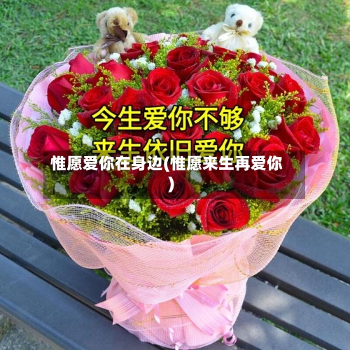 惟愿爱你在身边(惟愿来生再爱你)
