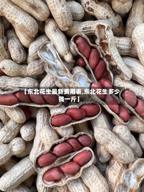 【东北花生最新费用表,东北花生多少钱一斤】