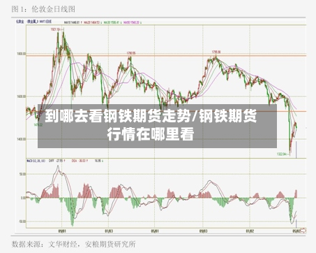 到哪去看钢铁期货走势/钢铁期货行情在哪里看