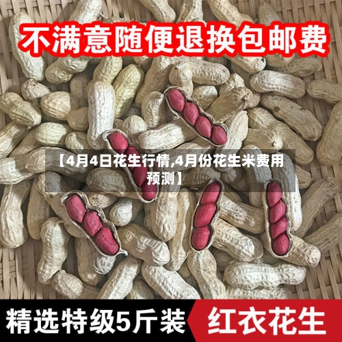 【4月4日花生行情,4月份花生米费用预测】