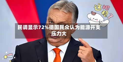 民调显示72%德国民众认为能源开支压力大