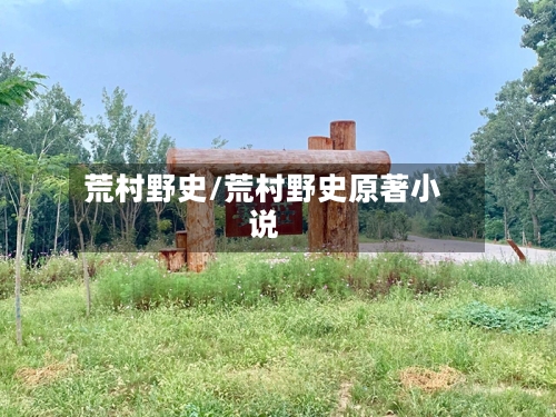 荒村野史/荒村野史原著小说-第2张图片