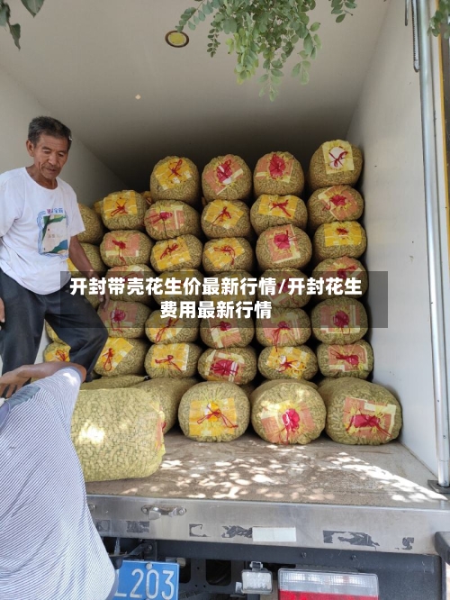 开封带壳花生价最新行情/开封花生费用最新行情-第2张图片