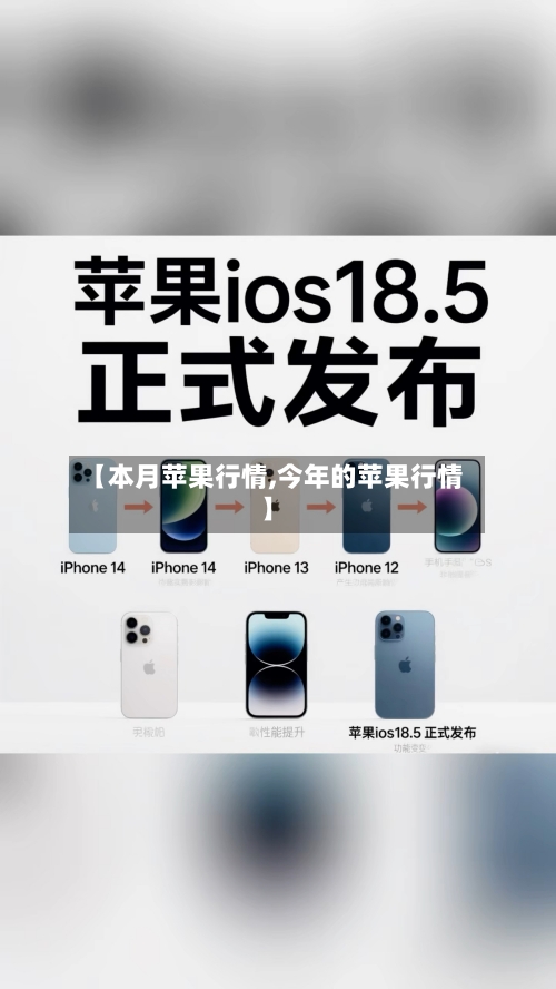 【本月苹果行情,今年的苹果行情】-第2张图片