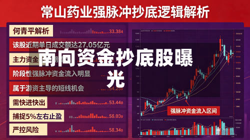 南向资金抄底股曝光-第2张图片