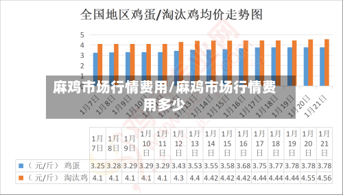 麻鸡市场行情费用/麻鸡市场行情费用多少