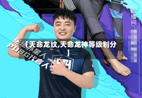 【天命龙纹,天命龙神等级划分】