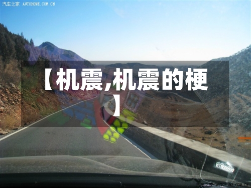 【机震,机震的梗】-第3张图片