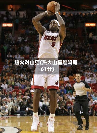 热火对山猫(热火山猫詹姆斯61分)-第2张图片