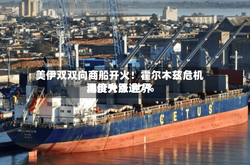 美伊双双向商船开火！霍尔木兹危机再度升级 世界油价大涨逾7%-第2张图片