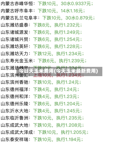 今日天玉米费用(今天玉米最新费用)