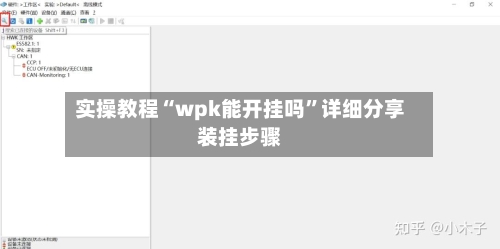 实操教程“wpk能开挂吗”详细分享装挂步骤