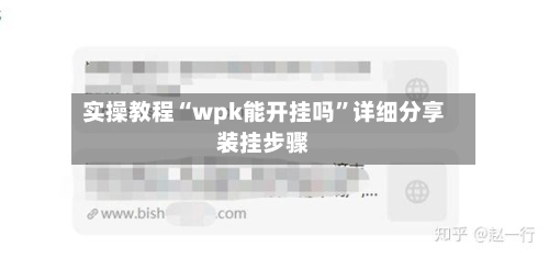 实操教程“wpk能开挂吗	”详细分享装挂步骤-第2张图片