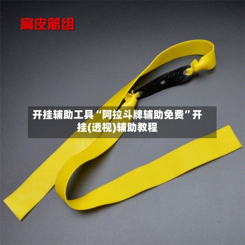 开挂辅助工具“阿拉斗牌辅助免费”开挂(透视)辅助教程-第2张图片