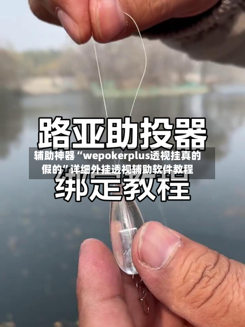 辅助神器“wepokerplus透视挂真的假的	”详细外挂透视辅助软件教程-第2张图片