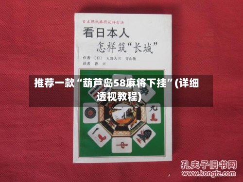 推荐一款“葫芦岛58麻将下挂	”(详细透视教程)-第2张图片