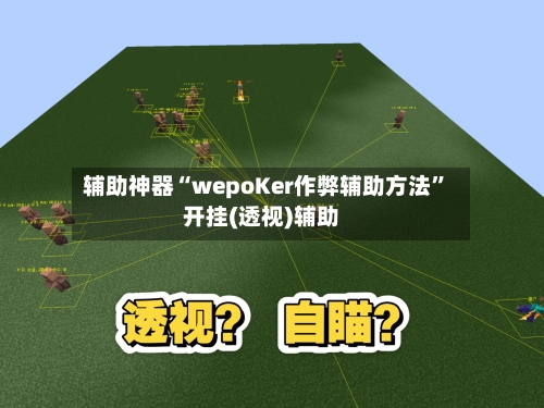 辅助神器“wepoKer作弊辅助方法	”开挂(透视)辅助-第3张图片